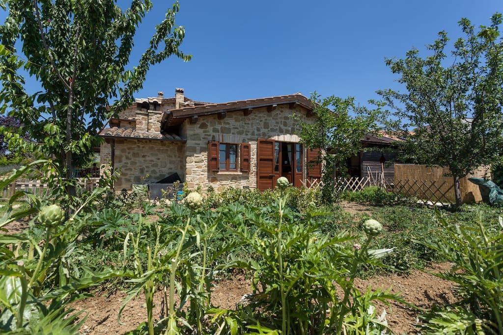 브루파 Il Belvederino B&B 외부 사진